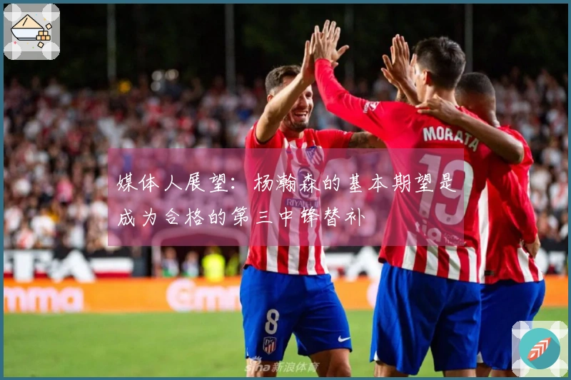 媒体人展望：杨瀚森的基本期望是成为合格的第三中锋替补